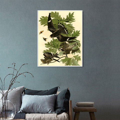 INVIN ART Framed Canvas Giclee Print Night Hawk by John James Audubon Wall Art Living Room Home Office Decorations