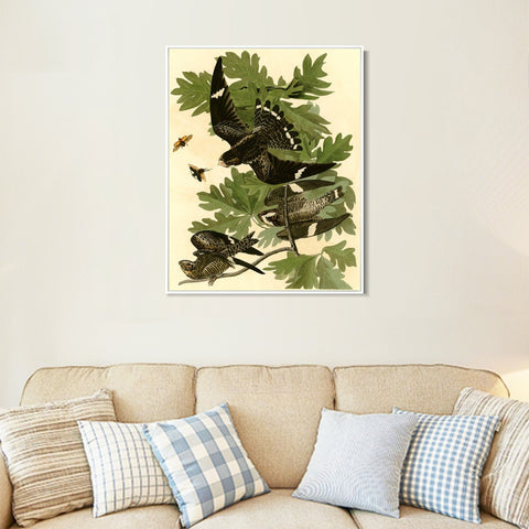INVIN ART Framed Canvas Giclee Print Night Hawk by John James Audubon Wall Art Living Room Home Office Decorations
