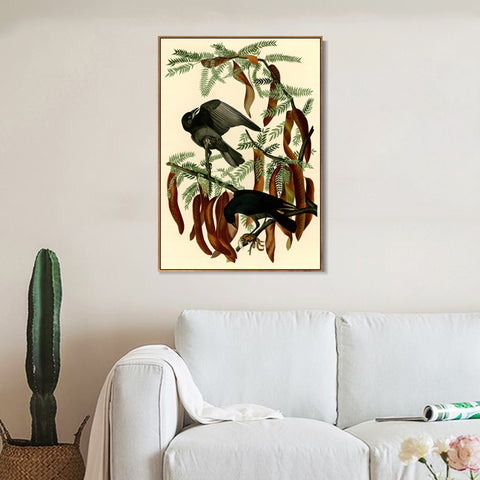 INVIN ART Framed Canvas Giclee Print Fish Crow by John James Audubon Wall Art Living Room Home Office Decorations