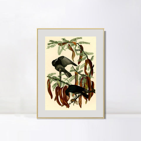 INVIN ART Metal Framed Canvas Giclee Print Fish Crow by John James Audubon Wall Art Living Room Home Office Decorations
