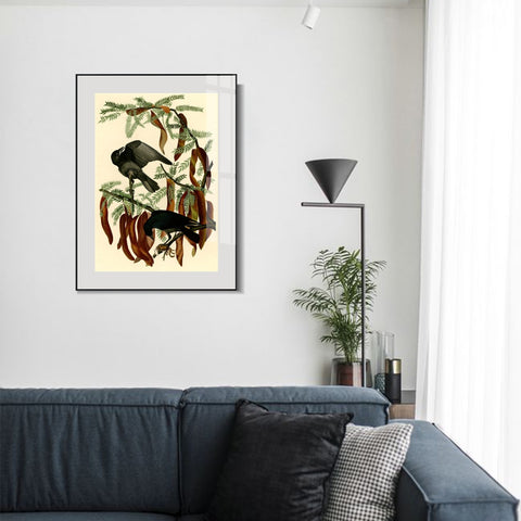 INVIN ART Metal Framed Canvas Giclee Print Fish Crow by John James Audubon Wall Art Living Room Home Office Decorations