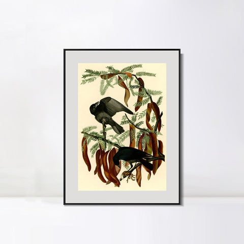 INVIN ART Metal Framed Canvas Giclee Print Fish Crow by John James Audubon Wall Art Living Room Home Office Decorations