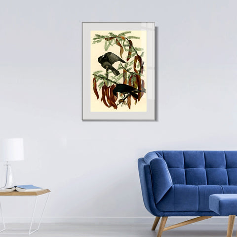 INVIN ART Metal Framed Canvas Giclee Print Fish Crow by John James Audubon Wall Art Living Room Home Office Decorations