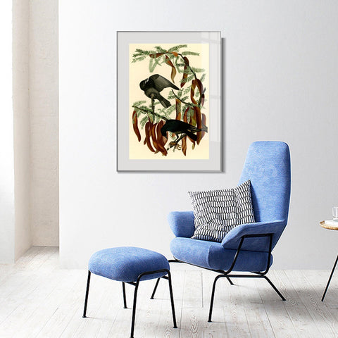 INVIN ART Metal Framed Canvas Giclee Print Fish Crow by John James Audubon Wall Art Living Room Home Office Decorations