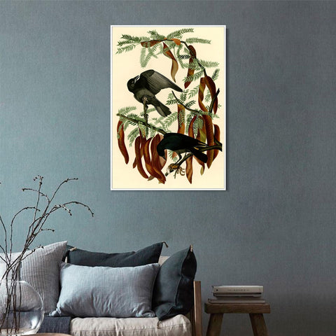 INVIN ART Framed Canvas Giclee Print Fish Crow by John James Audubon Wall Art Living Room Home Office Decorations