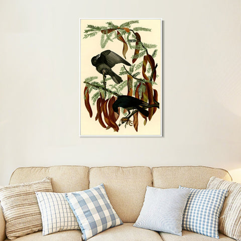 INVIN ART Framed Canvas Giclee Print Fish Crow by John James Audubon Wall Art Living Room Home Office Decorations