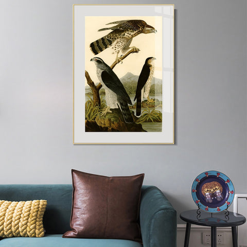INVIN ART Metal Framed Canvas Giclee Print Stanley Hawk by John James Audubon Wall Art Living Room Home Office Decorations