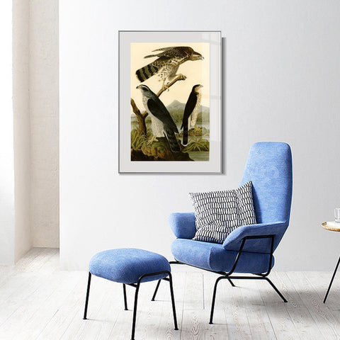 INVIN ART Metal Framed Canvas Giclee Print Stanley Hawk by John James Audubon Wall Art Living Room Home Office Decorations