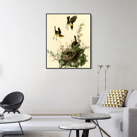 INVIN ART Framed Canvas Giclee Print Yellow breasted Chat by John James Audubon Wall Art Living Room Home Office Decorations