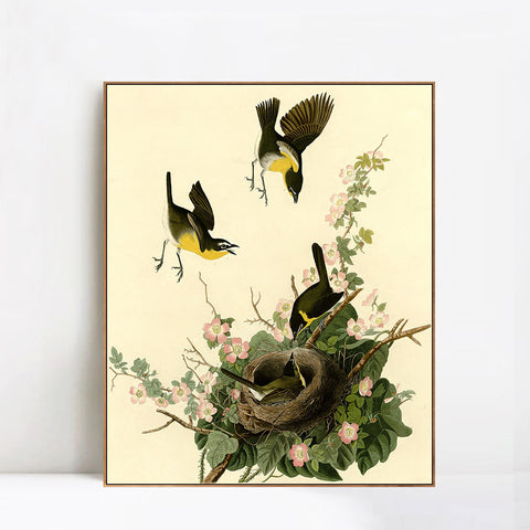 INVIN ART Framed Canvas Giclee Print Yellow breasted Chat by John James Audubon Wall Art Living Room Home Office Decorations