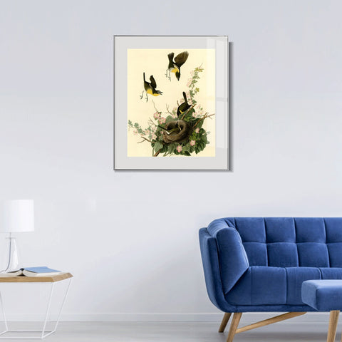 INVIN ART Metal Framed Canvas Giclee Print Yellow breasted Chat by John James Audubon Wall Art Living Room Home Office Decorations