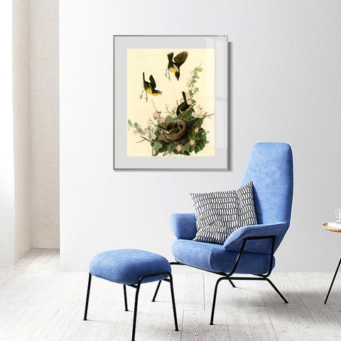 INVIN ART Metal Framed Canvas Giclee Print Yellow breasted Chat by John James Audubon Wall Art Living Room Home Office Decorations