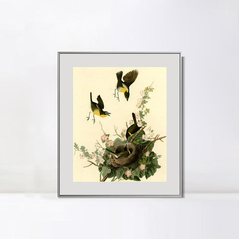 INVIN ART Metal Framed Canvas Giclee Print Yellow breasted Chat by John James Audubon Wall Art Living Room Home Office Decorations