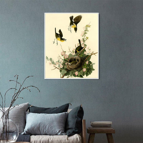 INVIN ART Framed Canvas Giclee Print Yellow breasted Chat by John James Audubon Wall Art Living Room Home Office Decorations