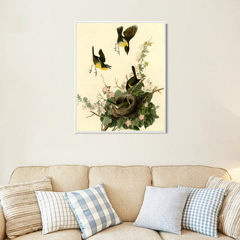 INVIN ART Framed Canvas Giclee Print Yellow breasted Chat by John James Audubon Wall Art Living Room Home Office Decorations
