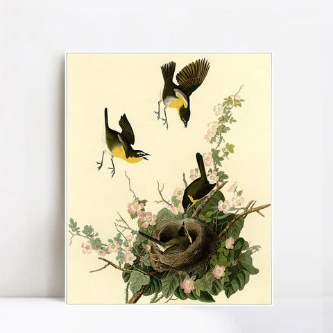 INVIN ART Framed Canvas Giclee Print Yellow breasted Chat by John James Audubon Wall Art Living Room Home Office Decorations