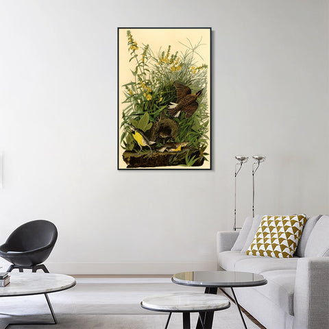 INVIN ART Framed Canvas Giclee Print Meadow Lark by John James Audubon Wall Art Living Room Home Office Decorations