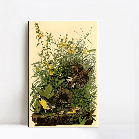 INVIN ART Framed Canvas Giclee Print Meadow Lark by John James Audubon Wall Art Living Room Home Office Decorations