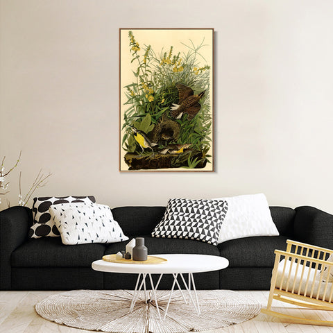 INVIN ART Framed Canvas Giclee Print Meadow Lark by John James Audubon Wall Art Living Room Home Office Decorations