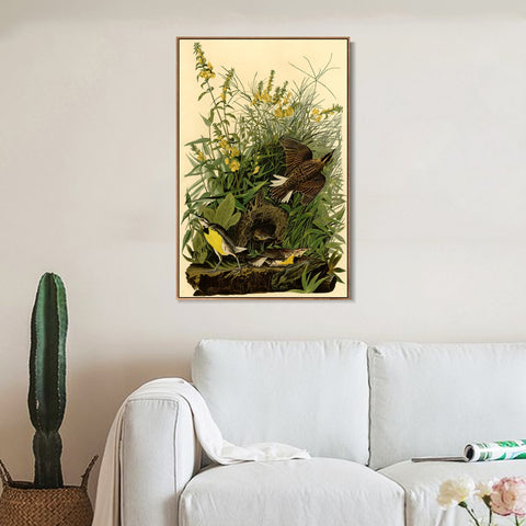INVIN ART Framed Canvas Giclee Print Meadow Lark by John James Audubon Wall Art Living Room Home Office Decorations