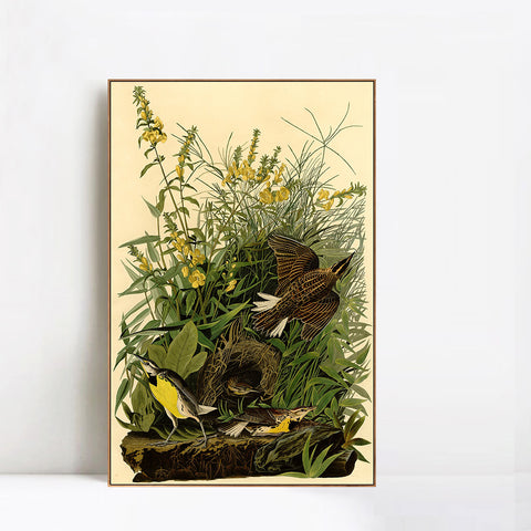 INVIN ART Framed Canvas Giclee Print Meadow Lark by John James Audubon Wall Art Living Room Home Office Decorations