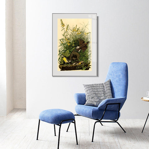 INVIN ART Metal Framed Canvas Giclee Print Meadow Lark by John James Audubon Wall Art Living Room Home Office Decorations