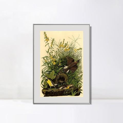 INVIN ART Metal Framed Canvas Giclee Print Meadow Lark by John James Audubon Wall Art Living Room Home Office Decorations