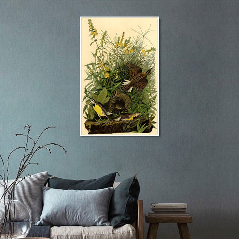 INVIN ART Framed Canvas Giclee Print Meadow Lark by John James Audubon Wall Art Living Room Home Office Decorations