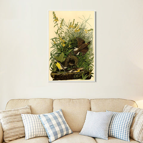 INVIN ART Framed Canvas Giclee Print Meadow Lark by John James Audubon Wall Art Living Room Home Office Decorations