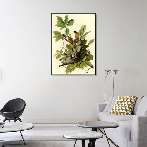 INVIN ART Framed Canvas Giclee Print American Robin by John James Audubon Wall Art Living Room Home Office Decorations