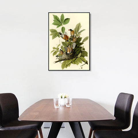 INVIN ART Framed Canvas Giclee Print American Robin by John James Audubon Wall Art Living Room Home Office Decorations