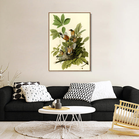 INVIN ART Framed Canvas Giclee Print American Robin by John James Audubon Wall Art Living Room Home Office Decorations