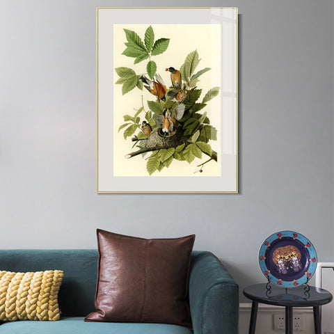 INVIN ART Metal Framed Canvas Giclee Print American Robin by John James Audubon Wall Art Living Room Home Office Decorations