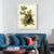 INVIN ART Metal Framed Canvas Giclee Print American Robin by John James Audubon Wall Art Living Room Home Office Decorations