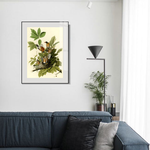 INVIN ART Metal Framed Canvas Giclee Print American Robin by John James Audubon Wall Art Living Room Home Office Decorations