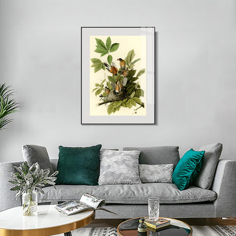 INVIN ART Metal Framed Canvas Giclee Print American Robin by John James Audubon Wall Art Living Room Home Office Decorations