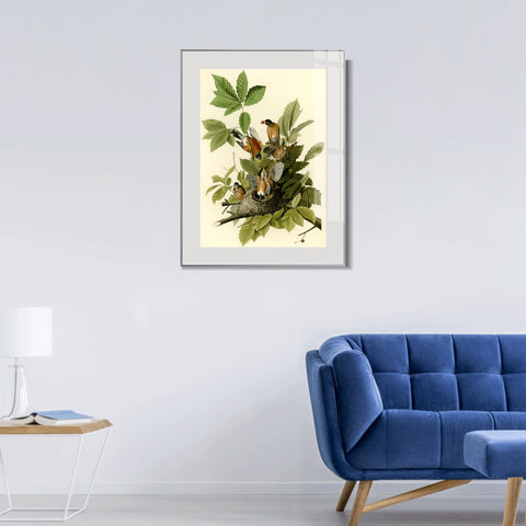 INVIN ART Metal Framed Canvas Giclee Print American Robin by John James Audubon Wall Art Living Room Home Office Decorations
