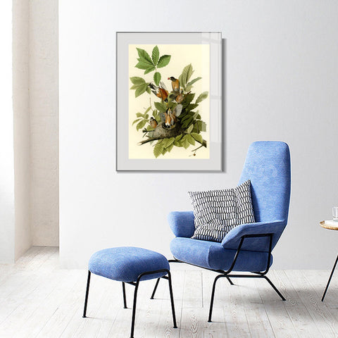 INVIN ART Metal Framed Canvas Giclee Print American Robin by John James Audubon Wall Art Living Room Home Office Decorations