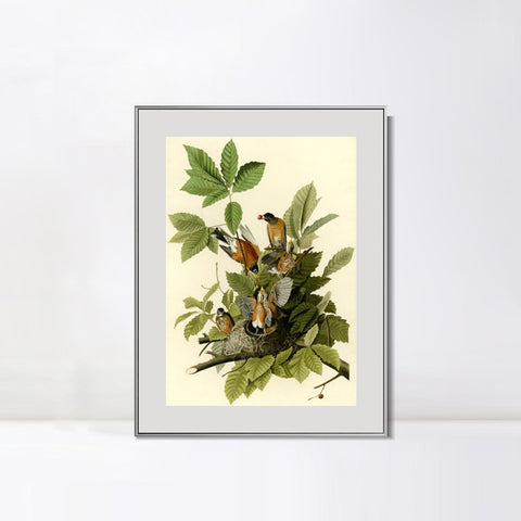 INVIN ART Metal Framed Canvas Giclee Print American Robin by John James Audubon Wall Art Living Room Home Office Decorations