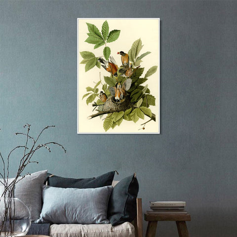 INVIN ART Framed Canvas Giclee Print American Robin by John James Audubon Wall Art Living Room Home Office Decorations
