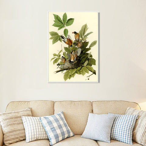 INVIN ART Framed Canvas Giclee Print American Robin by John James Audubon Wall Art Living Room Home Office Decorations