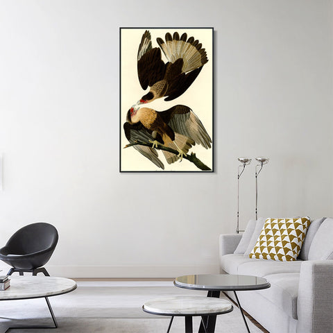 INVIN ART Framed Canvas Giclee Print Brasilian Caracara Eagle by John James Audubon Wall Art Living Room Home Office Decorations