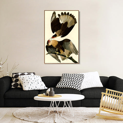 INVIN ART Framed Canvas Giclee Print Brasilian Caracara Eagle by John James Audubon Wall Art Living Room Home Office Decorations