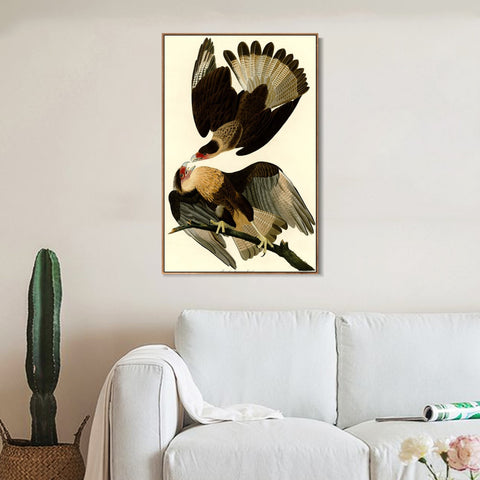 INVIN ART Framed Canvas Giclee Print Brasilian Caracara Eagle by John James Audubon Wall Art Living Room Home Office Decorations