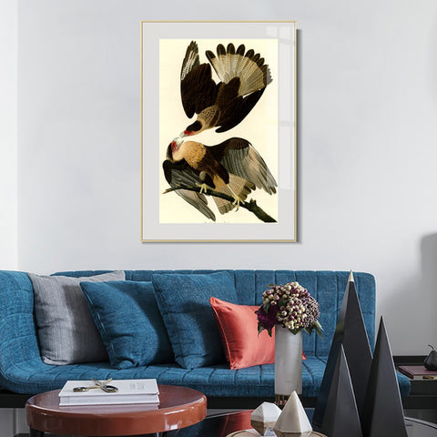 INVIN ART Metal Framed Canvas Giclee Print Brasilian Caracara Eagle by John James Audubon Wall Art Living Room Home Office Decorations
