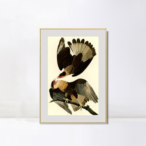 INVIN ART Metal Framed Canvas Giclee Print Brasilian Caracara Eagle by John James Audubon Wall Art Living Room Home Office Decorations