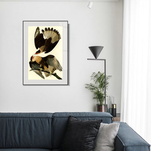 INVIN ART Metal Framed Canvas Giclee Print Brasilian Caracara Eagle by John James Audubon Wall Art Living Room Home Office Decorations