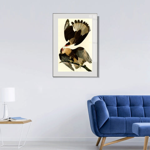 INVIN ART Metal Framed Canvas Giclee Print Brasilian Caracara Eagle by John James Audubon Wall Art Living Room Home Office Decorations