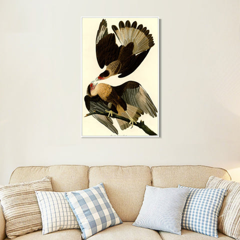 INVIN ART Framed Canvas Giclee Print Brasilian Caracara Eagle by John James Audubon Wall Art Living Room Home Office Decorations