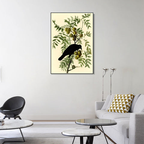 INVIN ART Framed Canvas Giclee Print American Crow by John James Audubon Wall Art Living Room Home Office Decorations